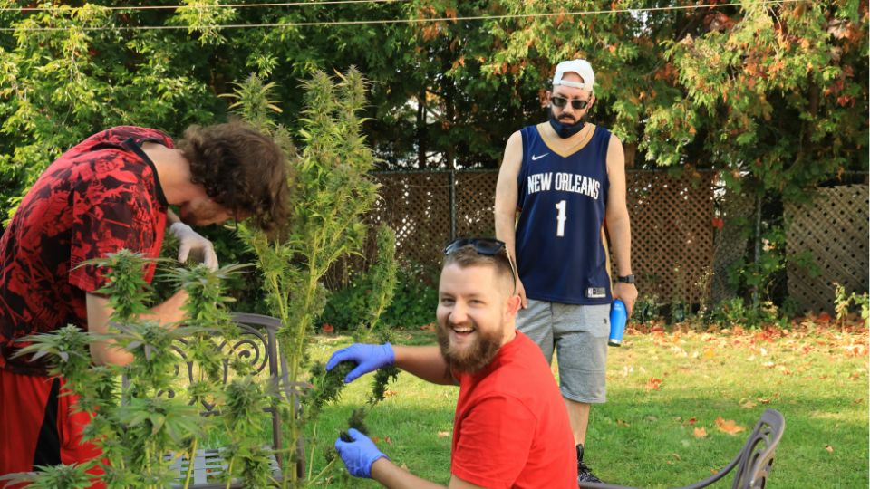 Photo of 3 men in a garden. Two are kneeling at a shrub, one of the men is facing the camera laughing.