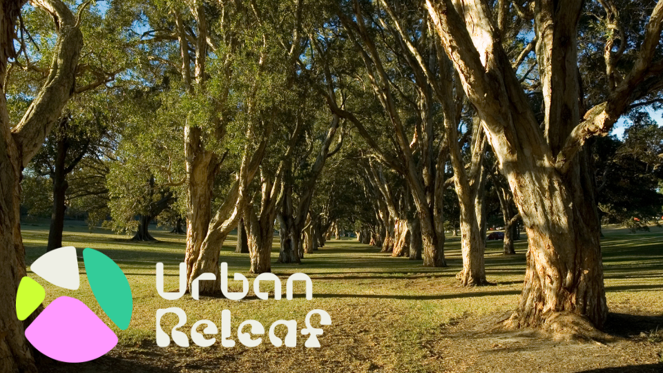 Photo of a wooded park area. Urban releaf logo on the bottom left